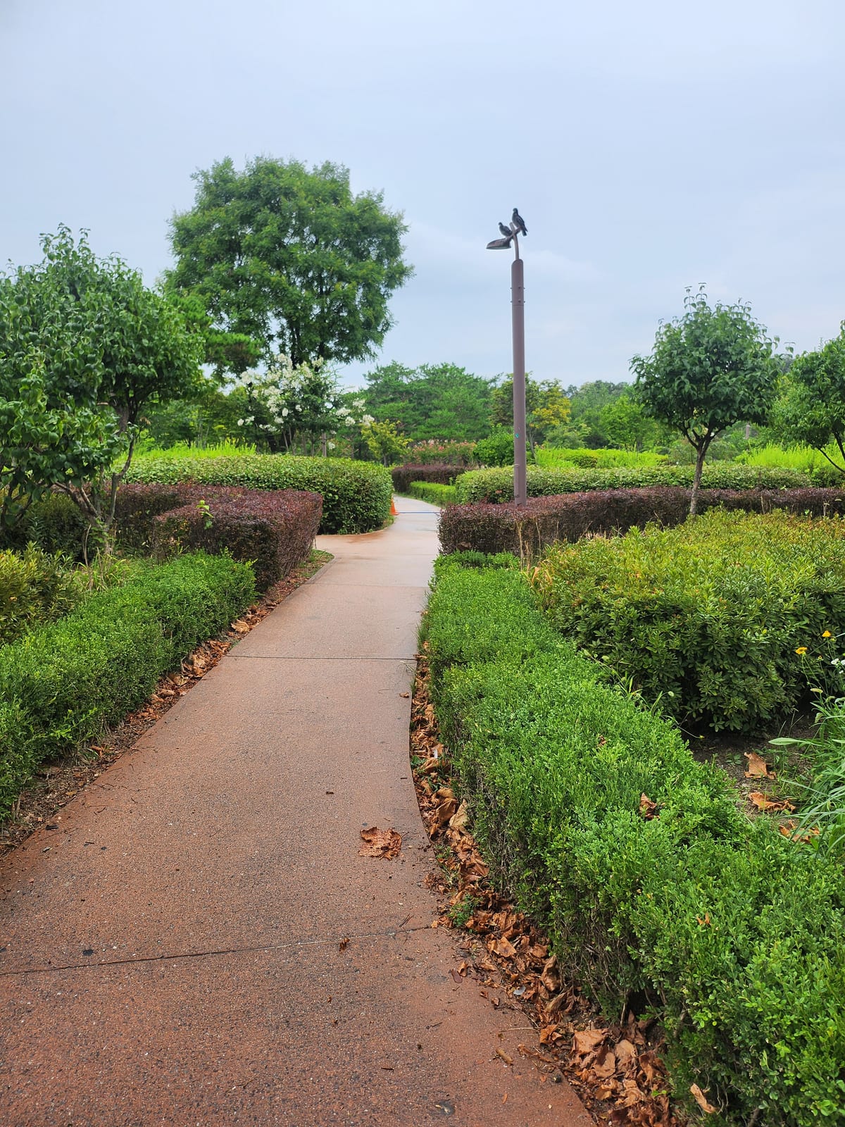 Jongmyo Gwangjang Park